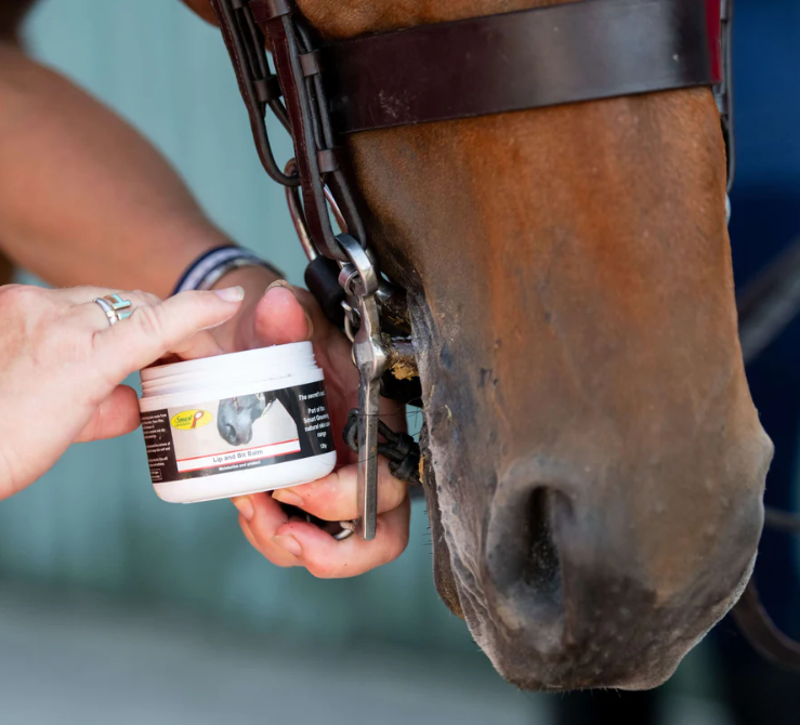 Smart Grooming - Lip and Bit Balm 120g-2